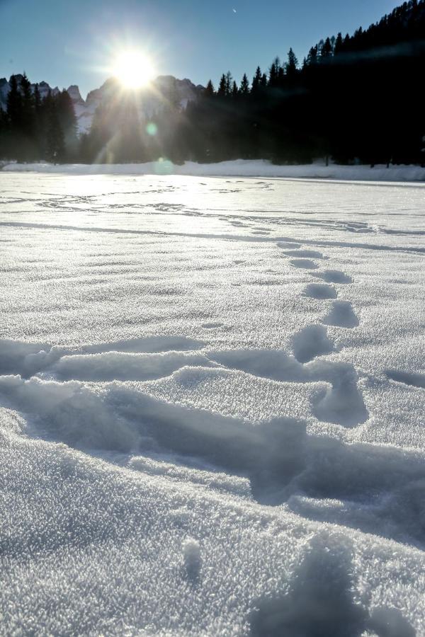 Rifugio Lago Nambino Madonna Zewnętrze zdjęcie